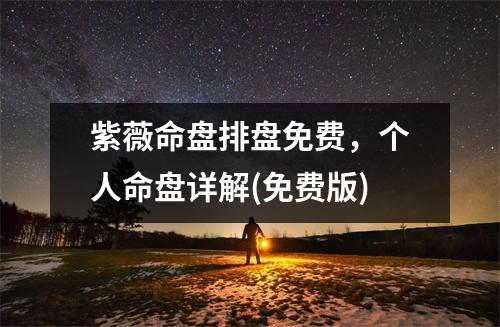 紫薇命盘排盘免费，个人命盘详解(免费版)