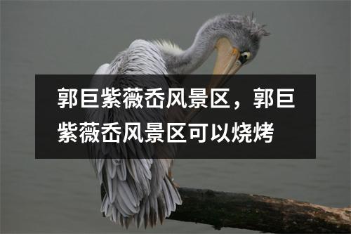 郭巨紫薇岙风景区，郭巨紫薇岙风景区可以烧烤