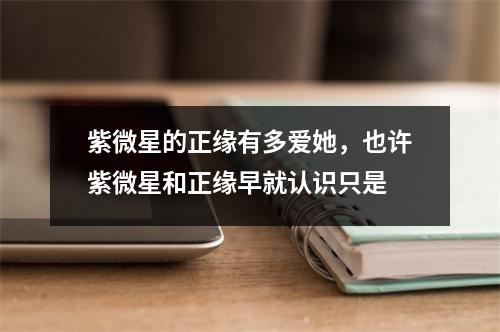 紫微星的正缘有多爱她，也许紫微星和正缘早就认识只是