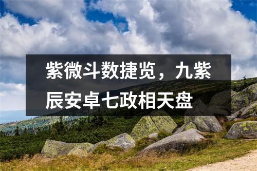 紫微斗数捷览，九紫辰安卓七政相天盘