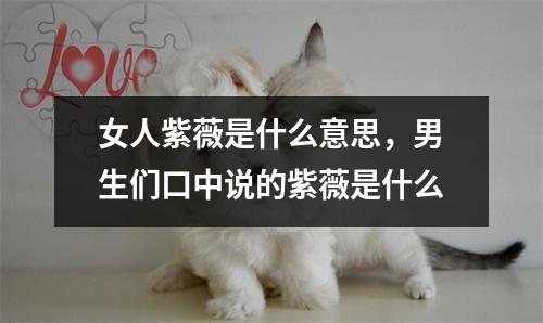 女人紫薇是什么意思，男生们口中说的紫薇是什么