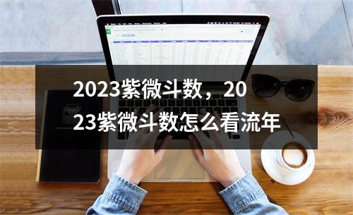 2023紫微斗数，2023紫微斗数怎么看流年