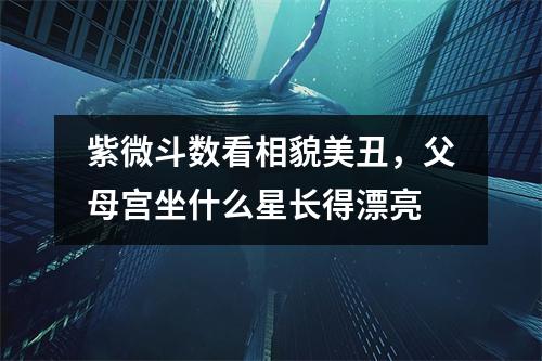 紫微斗数看相貌美丑，父母宫坐什么星长得漂亮