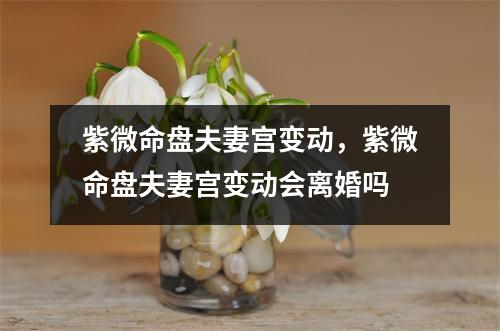 紫微命盘夫妻宫变动，紫微命盘夫妻宫变动会离婚吗