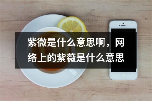 紫微是什么意思啊，网络上的紫薇是什么意思