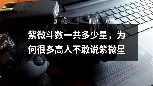 紫微斗数一共多少星，为何很多高人不敢说紫微星