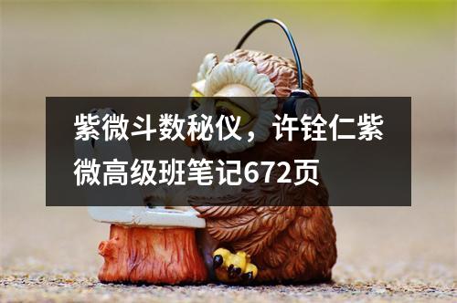 紫微斗数秘仪，许铨仁紫微高级班笔记672页