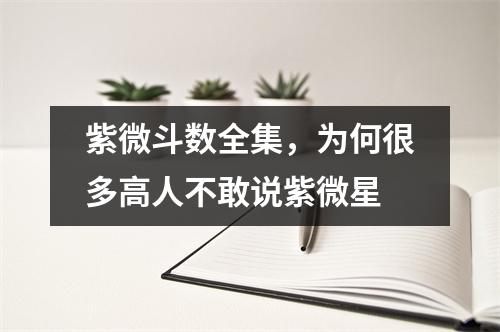 紫微斗数全集，为何很多高人不敢说紫微星