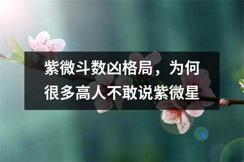 紫微斗数凶格局，为何很多高人不敢说紫微星