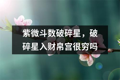 紫微斗数破碎星，破碎星入财帛宫很穷吗