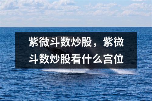 紫微斗数炒股，紫微斗数炒股看什么宫位