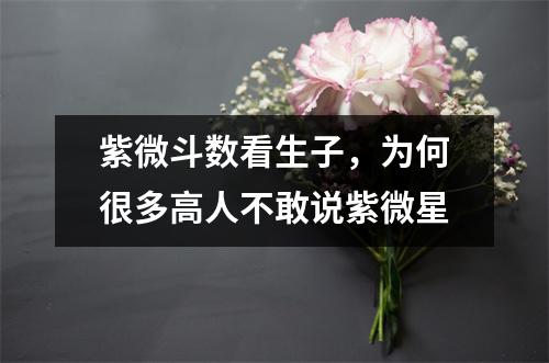 紫微斗数看生子，为何很多高人不敢说紫微星