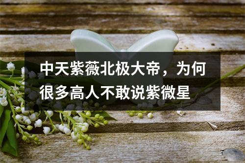 中天紫薇北极大帝，为何很多高人不敢说紫微星