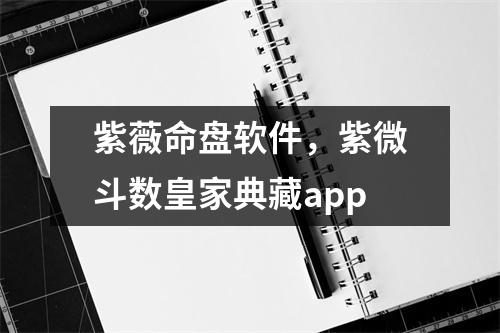 紫薇命盘软件，紫微斗数皇家典藏
