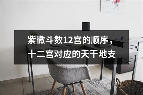 紫微斗数12宫的顺序，十二宫对应的天干地支