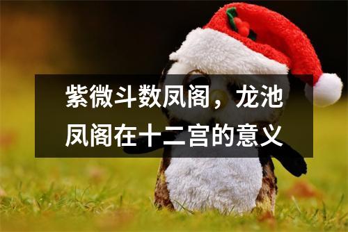 紫微斗数凤阁，龙池凤阁在十二宫的意义