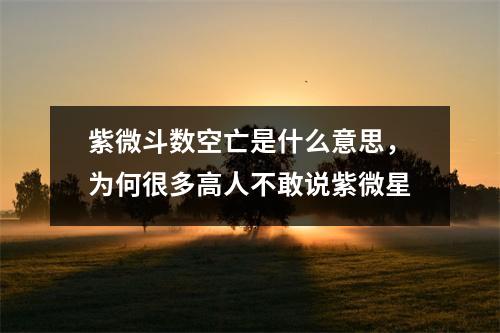 紫微斗数空亡是什么意思，为何很多高人不敢说紫微星