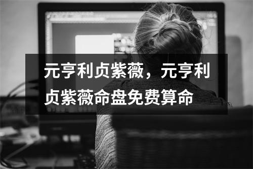 元亨利贞紫薇，元亨利贞紫薇命盘免费算命