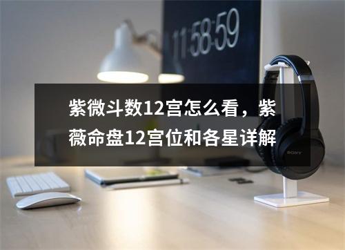 紫微斗数12宫怎么看，紫薇命盘12宫位和各星详解