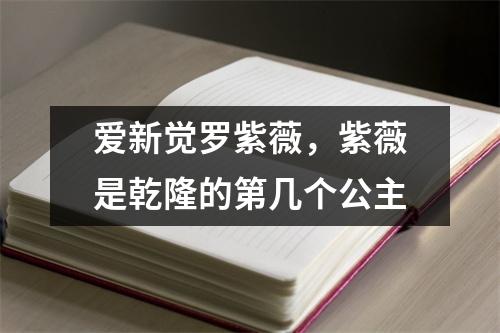 爱新觉罗紫薇，紫薇是乾隆的第几个公主