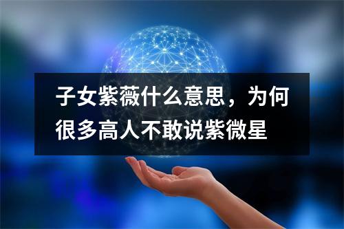 子女紫薇什么意思，为何很多高人不敢说紫微星