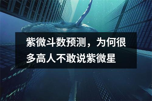 紫微斗数预测，为何很多高人不敢说紫微星