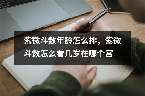 紫微斗数年龄怎么排，紫微斗数怎么看几岁在哪个宫