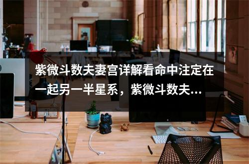 紫微斗数夫妻宫详解看命中注定在一起另一半星系，紫微斗数夫妻宫详解看你婚姻情况