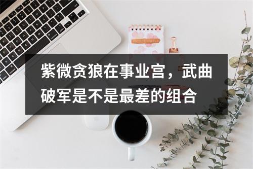 紫微贪狼在事业宫，武曲破军是不是差的组合