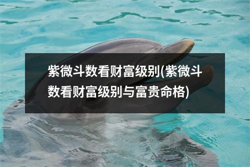 紫微斗数看财富级别(紫微斗数看财富级别与富贵命格)