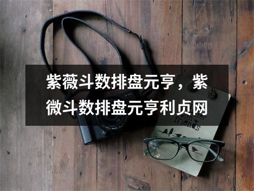 紫薇斗数排盘元亨，紫微斗数排盘元亨利贞网
