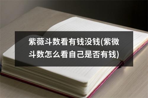 紫薇斗数看有钱没钱(紫微斗数怎么看自己是否有钱)