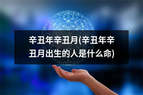 辛丑年辛丑月(辛丑年辛丑月出生的人是什么命)