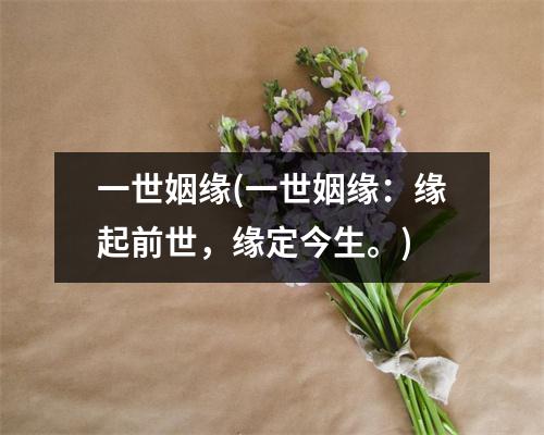 一世姻缘(一世姻缘：缘起前世，缘定今生。)
