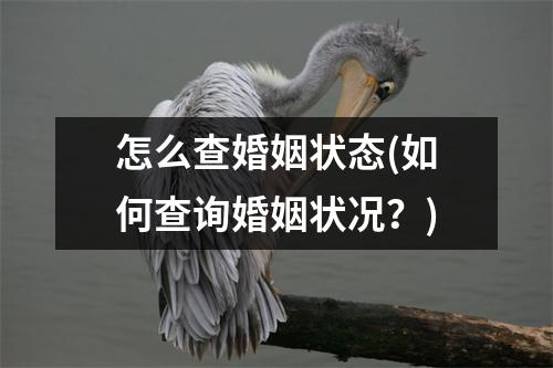 怎么查婚姻状态(如何查询婚姻状况？)