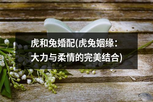 虎和兔婚配(虎兔姻缘：大力与柔情的完美结合)