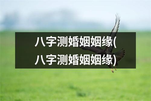 八字测婚姻姻缘(八字测婚姻姻缘)