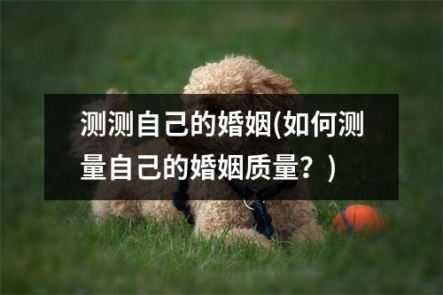 测测自己的婚姻(如何测量自己的婚姻质量？)