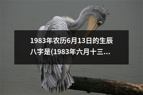 1983年农历6月13日的生辰八字是(1983年六月十三日生辰八字推断及性格分析)