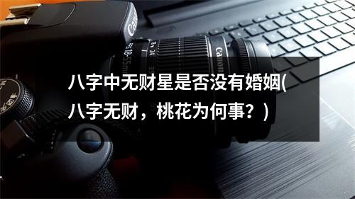 八字中无财星是否没有婚姻(八字无财，桃花为何事？)