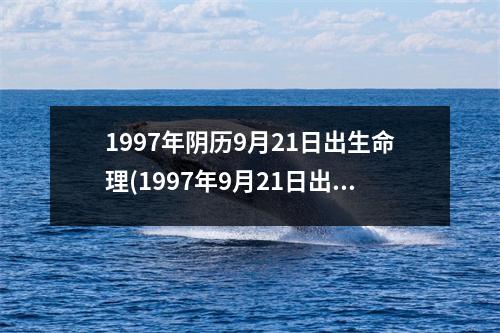 1997年阴历9月21日出生命理(1997年9月21日出生的你，如何看待命运？)