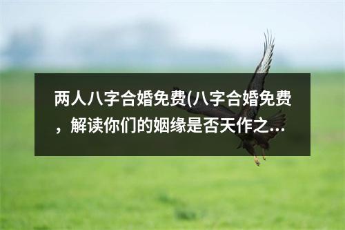 两人八字合婚免费(八字合婚免费，解读你们的姻缘是否天作之合)