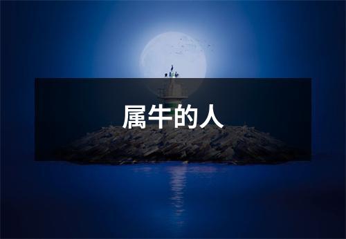 属牛的人