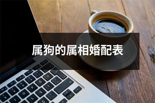 属狗的属相婚配表