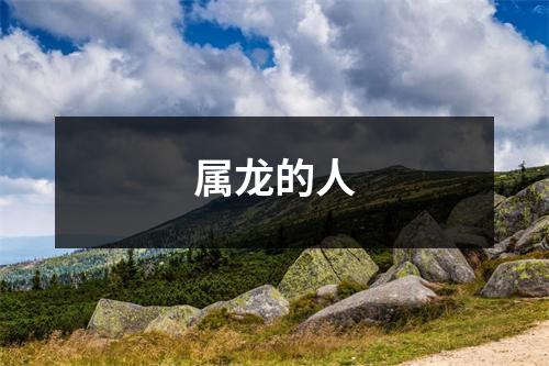 属龙的人