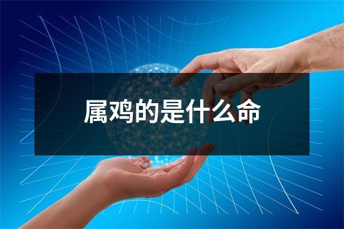 属鸡的是什么命
