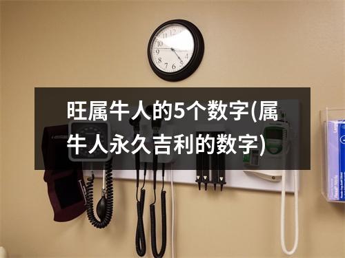 旺属牛人的5个数字(属牛人永久吉利的数字)