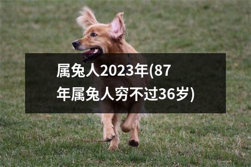 属兔人2023年(87年属兔人穷不过36岁)