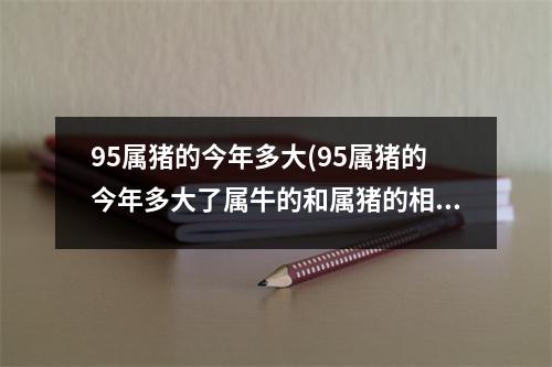 95属猪的今年多大(95属猪的今年多大了属牛的和属猪的相配合吗)