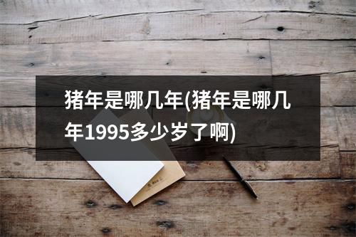 猪年是哪几年(猪年是哪几年1995多少岁了啊)